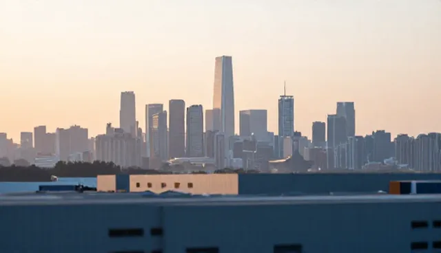 网络技术咨询中如何有效控制软件成本